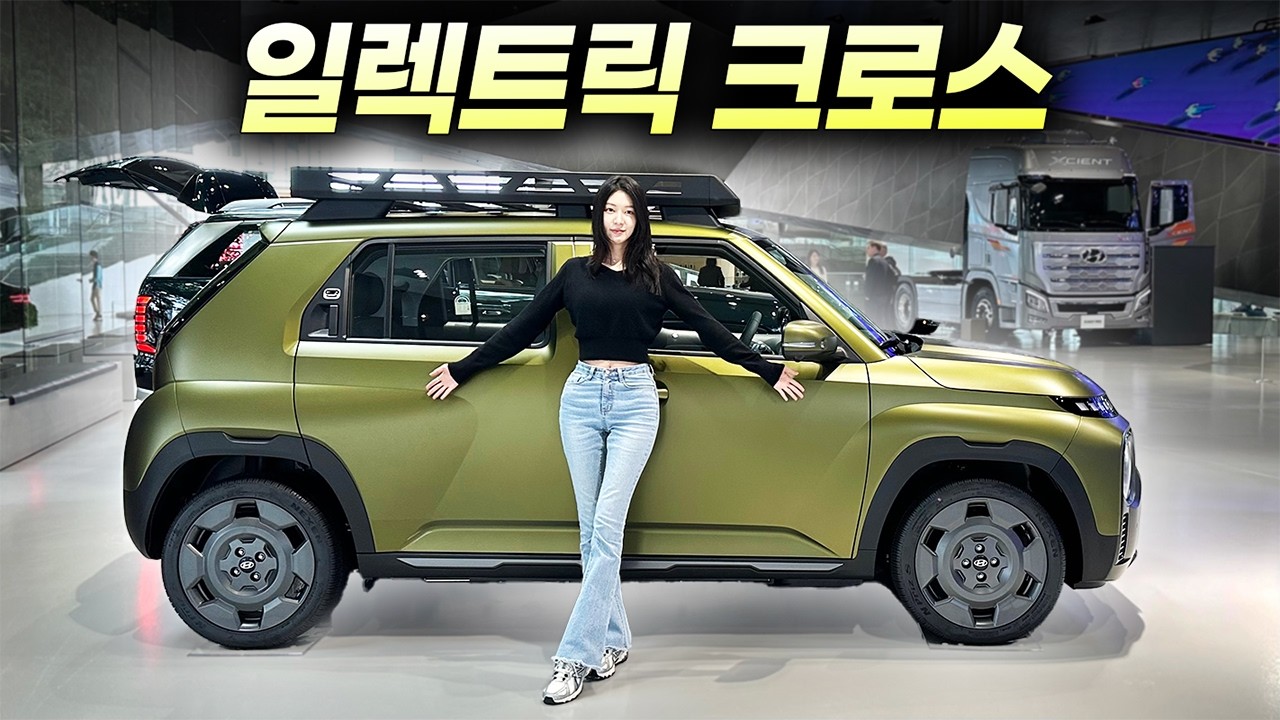야생마TV