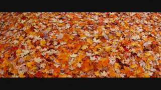Autumn Daybreak by Edna St Vincent Millay PODCAST ( by Adriana Valle)