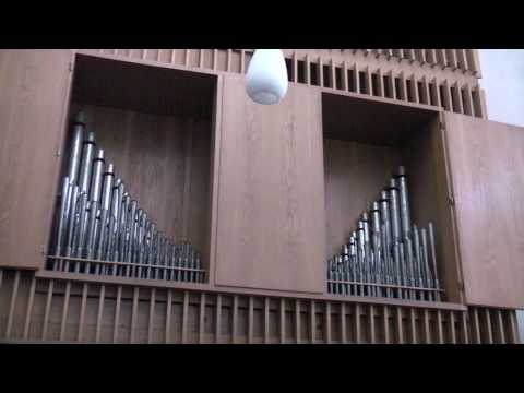 Hochfest Petrus und Paulus - Kommunionausteilung & Dank - 29.06.2010 GL 639/1-3