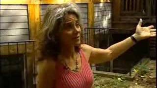 eco house wttw chicago