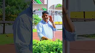 Download lagu Santhana Katre Senthamil || Thanikattu Raja || Ilaiyaraja || SPB, S.Janaki || Rajinikanth mp3