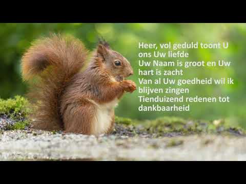 Tienduizend redenen - Opwekking 733 | Met songtekst | HD kwaliteit