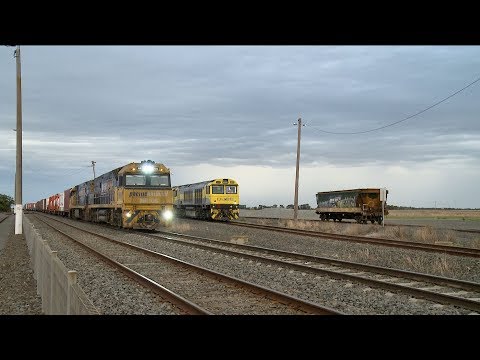 5MA5 Container Freight Overtakes QUBE Grain Train - PoathTV Australian Railways