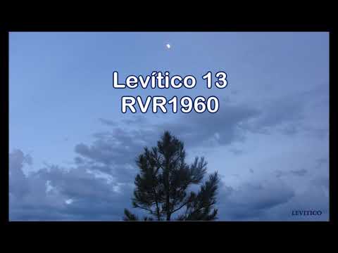 The Spoken Bible/ Leviticus 11-13