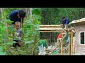 After the House-Building Days, Nick & Kiem Care for the Vegetable Garden and Build a Small Kitchen