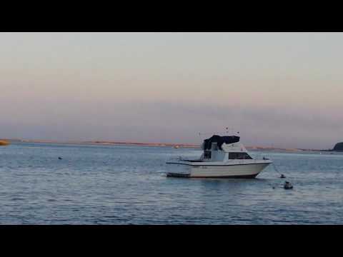 download lagu mp3 mp4 Boston Home Of The Bean And The Cod, download lagu Boston Home Of The Bean And The Cod gratis, unduh video klip Boston Home Of The Bean And The Cod