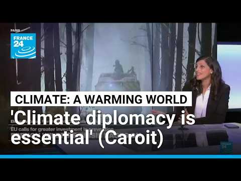 As France battles unprecedented wildfires, Caroit urges collective global action on climate change