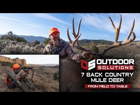 How Did the 7 Back Country Perform on Colorado Mule Deer?