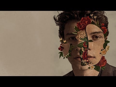 Shawn Mendes - 'Shawn Mendes' Album Vocal Range | G2 - Eb5 - E5/G5