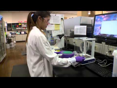 Mice "Tales"...the Knockout Mouse Production and Phenotyping Project