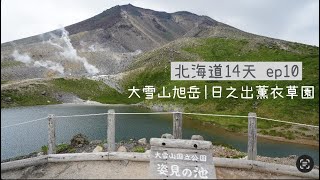 [74] 北海道D10｜大雪山旭岳搭纜車｜日之出薰衣草園｜今天開了362公里為了?