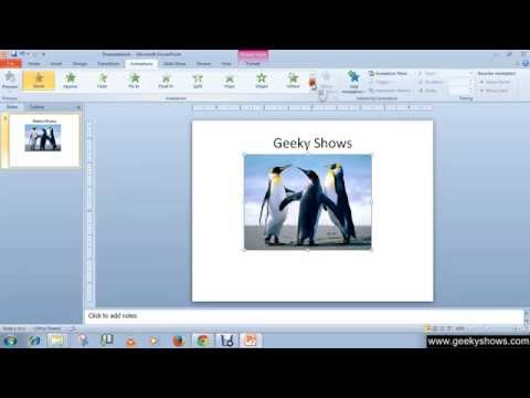 Microsoft PowerPoint 2010 Work with Animation and Video