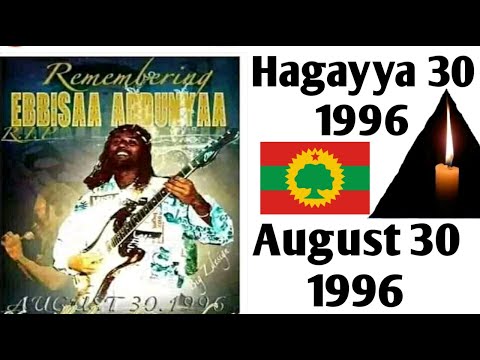 Seenaa Gabaabaa Eebbisaa Addunyaa Hagayya 30 Bara 1996 Waggaa 24n Hara'a Wareegame