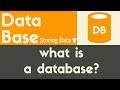 What Is A Database Let S Learn