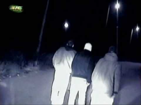 Sindicato sonoro - Gratificante