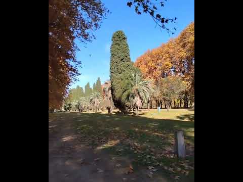 Park in Argentina. Villarino Zavalla, Santa Fe