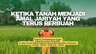 Download lagu Komunitas Estate Padi BMI: Ketika Tanah Menjadi Amal Jariyah yang Terus Berbuah mp3