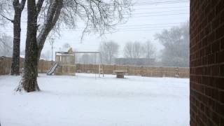 preview picture of video 'Snow in Muscle Shoals, Alabama (Time Lapse)'