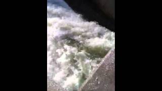preview picture of video 'Cave Run Lake Spillway - Morehead,KY'