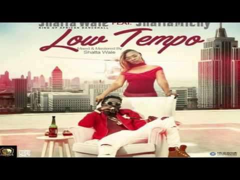 shatta wale ft  Shatta Michy - Low tempo Lyrics