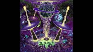 Rings of Saturn - Servant of This Sentience