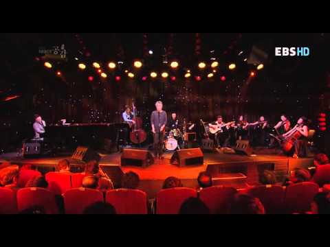 최백호 - 길 위에서