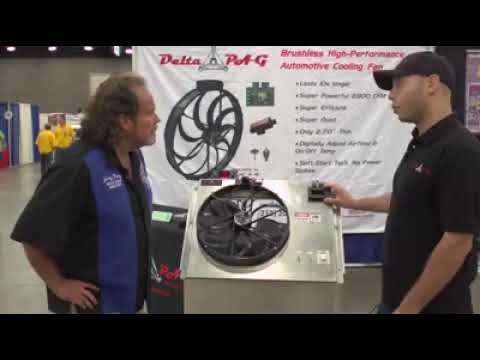 Delta PAG Demonstration Video