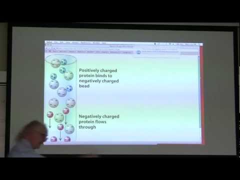 Kevin Ahern's BB 450/550 Classroom Lecture #2 for June 22 - Protein Structure and Purification