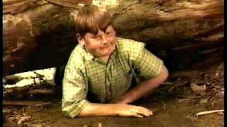 Если бы Лэсси была кошкой