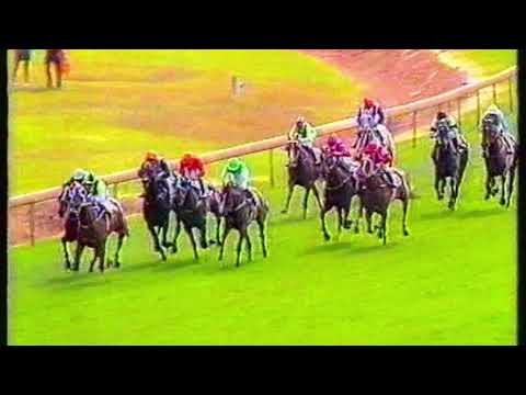 1993 STC Canterbury Cup - Naturalism