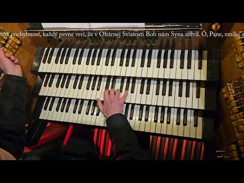 JKS 268 - Chvála tebe, ó, Bože (Dóm sv. Alžbety)