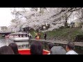 Passeio de barcos Sakura 12/04/2015 Toyama-shi ...