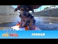 A brave little dog gets rescued from the river. His ...