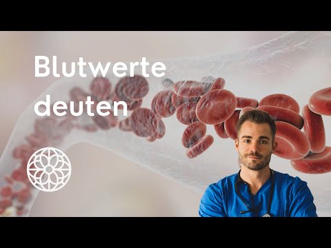 Laborwerte: Das solltest Du über Dein Blutbild wissen! Nährstoffe | Thiemo Osterhaus