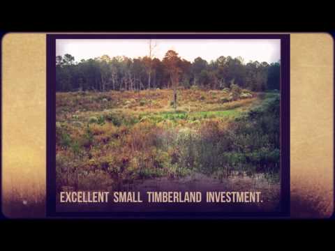 Archive 65 Video thumbnail