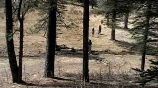 Kalmah - Ready for Salvation