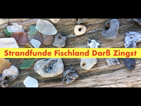 Fundstücke Spaziergang Fischland  Darß Zingst Weststrand Ostsee Natur pur #notalking #asmr