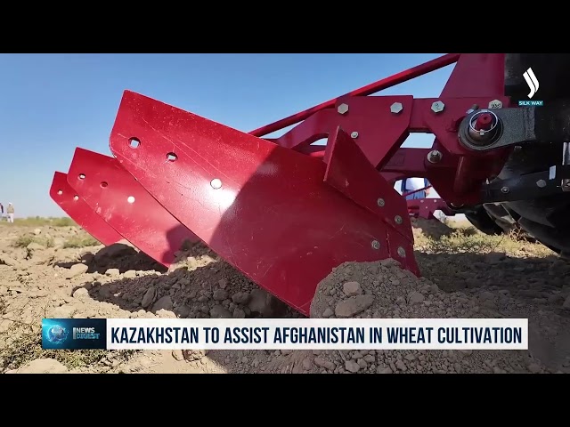 Казахстан поможет Афганистану выращивать пшеницу