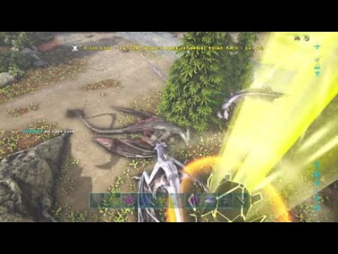 Small meat run on pacto de noobs