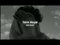 Mitraz Tere Huve Slowed Reverb