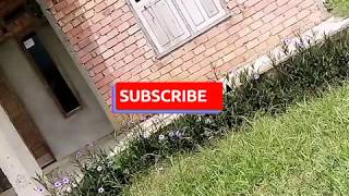 Download lagu Full song ost misteri ilahi [Panggung sandiwara] Dokumentasi Temmy rahadi mp3