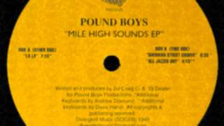 Pound Boys - Sherman Street Groove