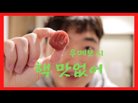 일본에서 가장 함정요리 우메보시 여자들이 좋아하는 오챠즈케로 만들어 먹었습니다