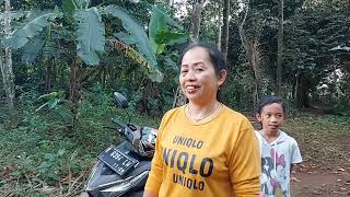 Download lagu Tasya dan mama petik pisang matang dipohon malah remuk mp3 Download lagu Tasya dan mama petik pisang matang dipohon malah remuk mp3