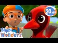 Blippi Wonders Learning Birds And Animals More Blippi Animated Series Cartoons For Kids