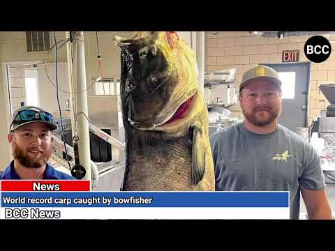 World record carp caught by bowfisher
