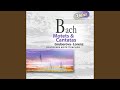 Ich habe genug, BWV 82: Aria: Schlummert ein, ihr matten Augen