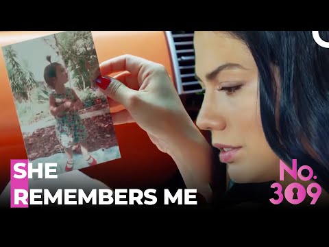 An Emotional Gift From Aunt - No.309