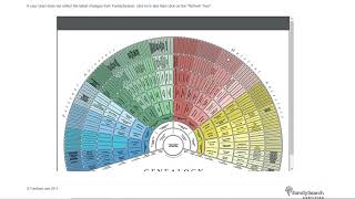 TreeSeek 9 Generation Fan Pedigree Chart Black or White