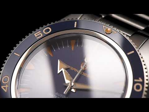 PAGANI Design 41mm Men Automatic Mechanical Watch Classic Retro 200m Waterproof Business Sport Watch